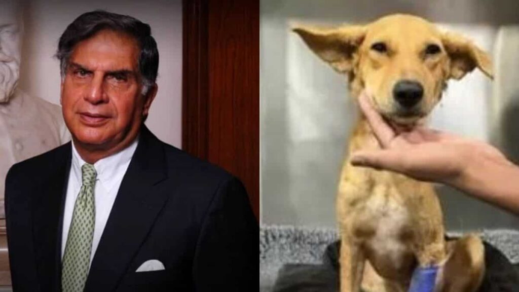 5-star treatment for dogs! When Ratan Tata allowed strays to his famous Mumbai's Taj Hotel