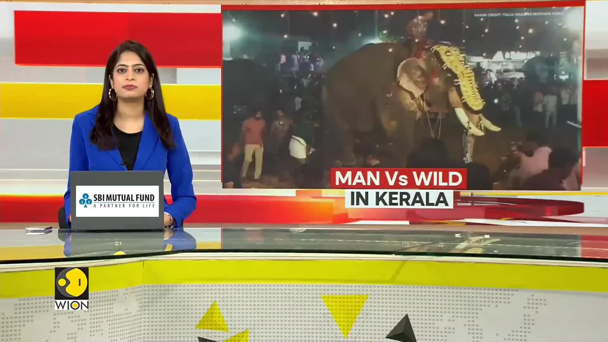 Man vs wild in Kerala: Elephant seen lifting a man and swinging in the air