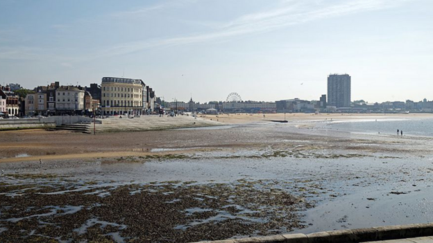 Alien or mermaid? Creepy figure with human-like head and fins baffles Kent beachgoers